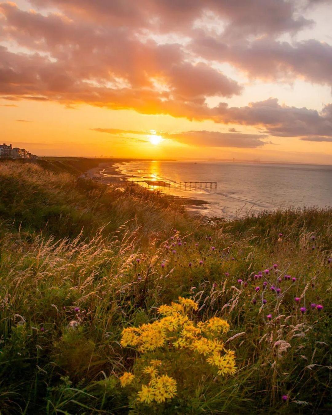 Captain'S Deck Beach Balcony Perfectlysaltburn المظهر الخارجي الصورة