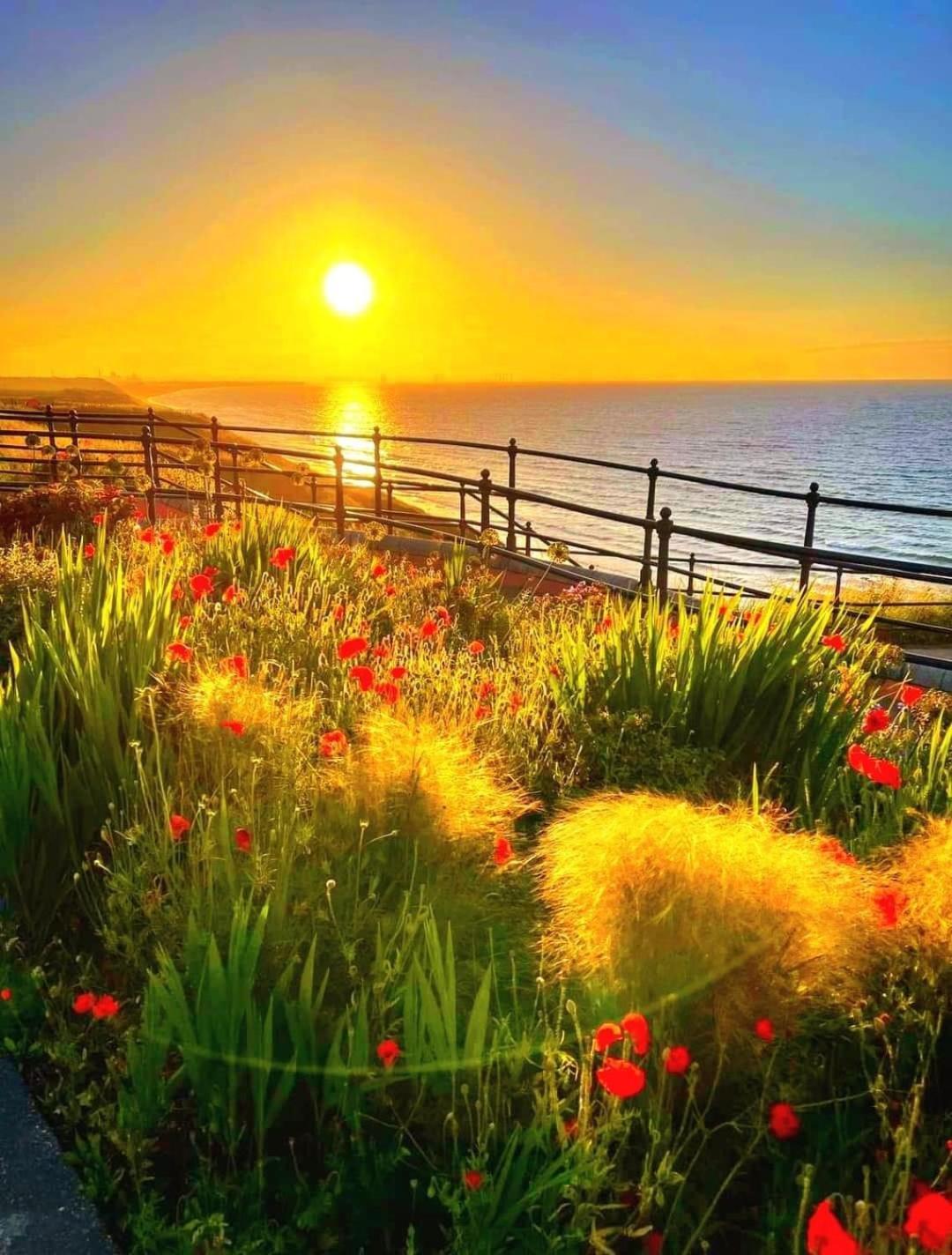 Captain'S Deck Beach Balcony Perfectlysaltburn المظهر الخارجي الصورة